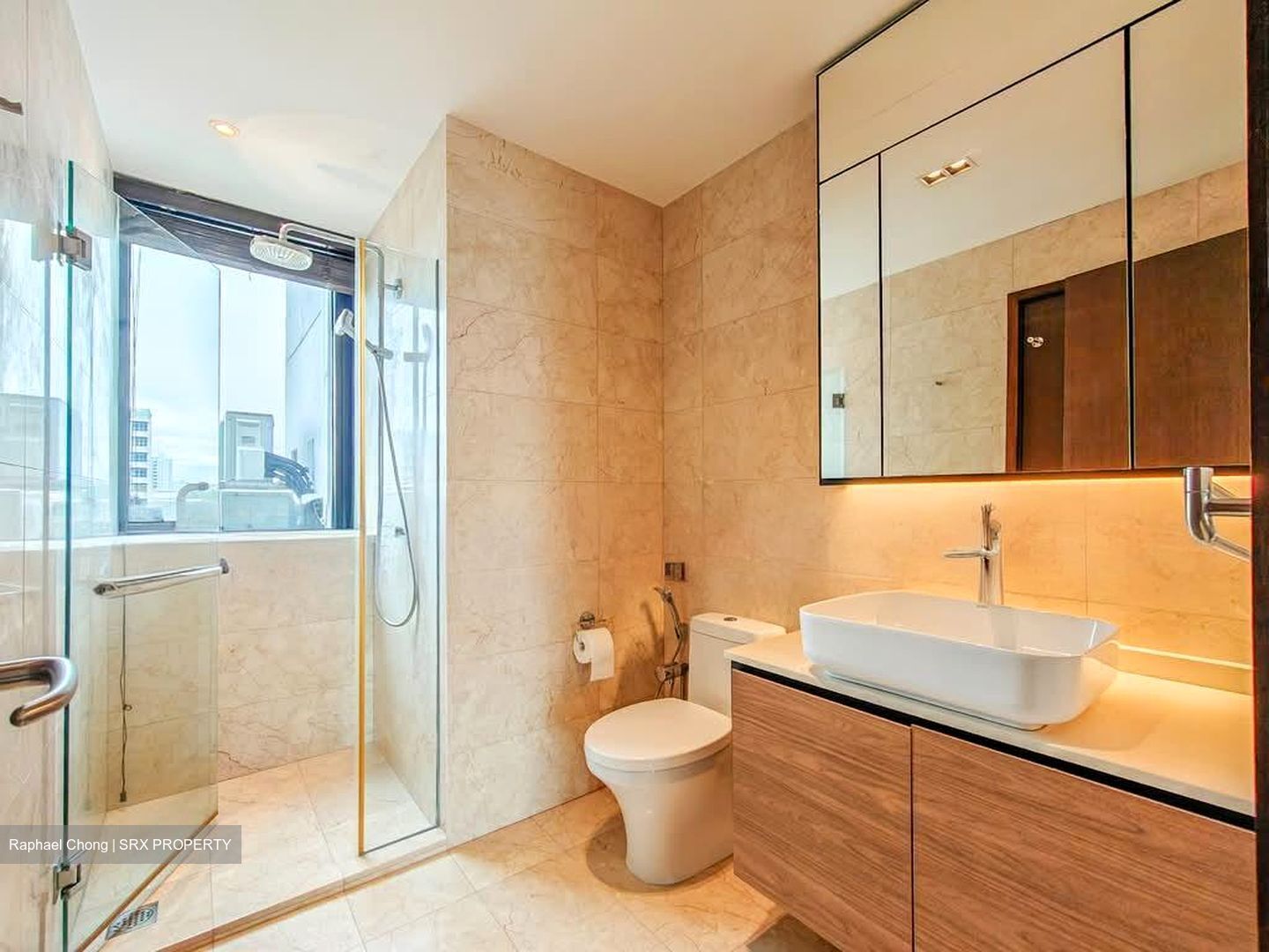 Harbour View Towers (D4), Condominium #536736541